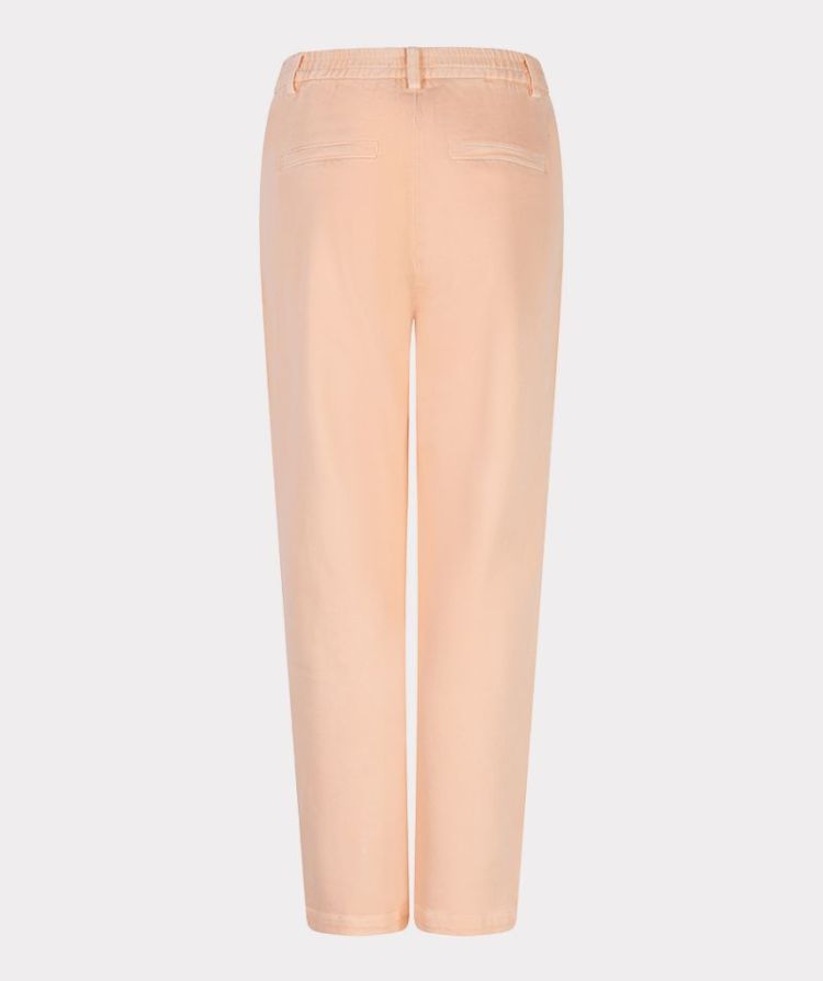 BELLINI